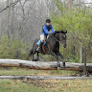 Meet your Posher, Sabrina